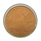 Natural Herbal Angelica Gigas Root Extract Powder Food Grade