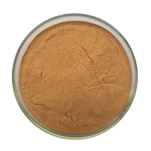 Natural Herbal Angelica Gigas Root Extract Powder Food Grade