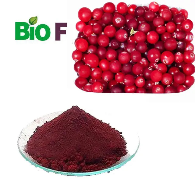 Natural Cranberry Powder Organic Cranberry Juice Powder For Solid Drink