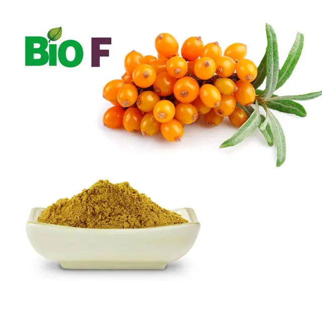 Fruit Sea Buckthorn Powder Organic Sea Buckthorn Flavone For Juice