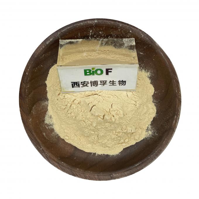 Wholesale Bulk Food Grade High Purity Xanthan Gum CAS 11138-66-2 Best Quality 0