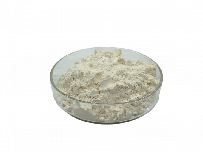 Natural Hydrolyzed Wheat Protein Powder High Purity CAS 70084-87-6 0
