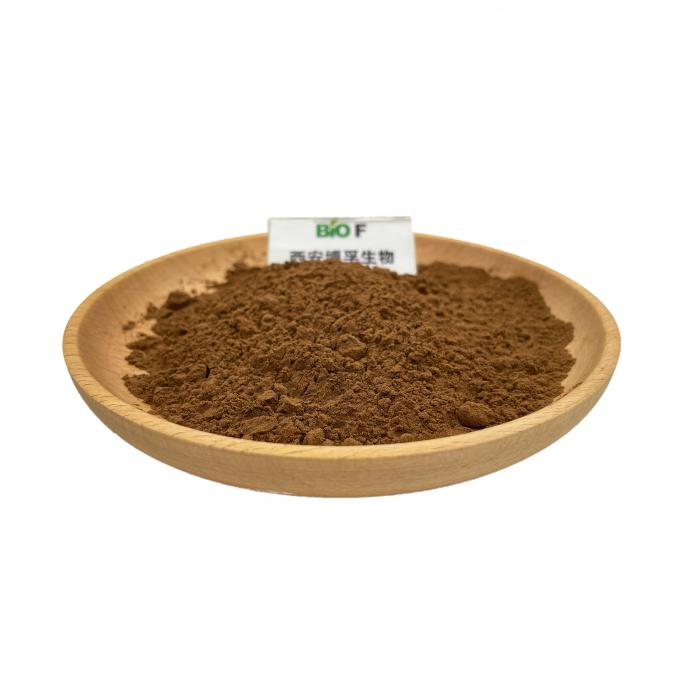 Food Grade Brown Yellow Concentration Black Ginger Extract Powder Solvent Extraction 0