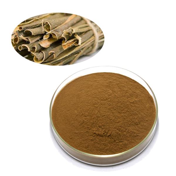 Brown Color Health Food Spice Cinnamon Powder Ceylon Cinnamon Extract Powder 10:1 0