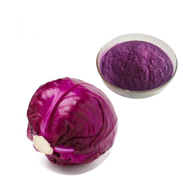 Purple Cabbage Extract Powder Healthy Grade Anthocyanins Color Red Instant Concentrate Juice Powder 0
