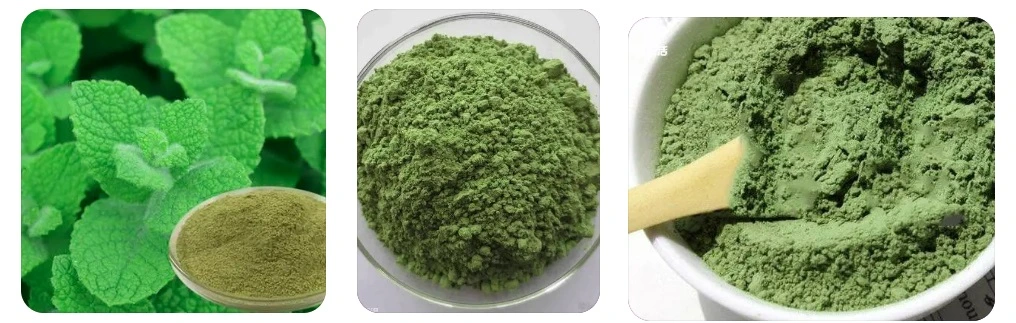 100% Pure Natural Organic Peppermint Leaf Powder Mint Powder 1