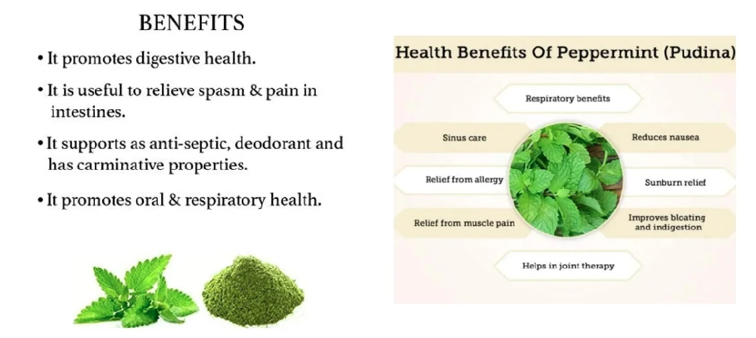 100% Pure Natural Organic Peppermint Leaf Powder Mint Powder 3