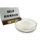 Pure Organic Bulk Sialic Acid Powder 98% Purity Food Additives