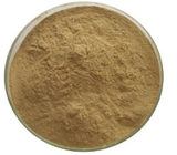 95% Natural Nutrition Supplements Quercetin Dihydrate Powder