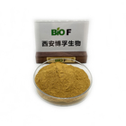 80% Silymarin Powder Food Grade Milk Thistle Extract Powder