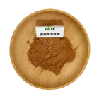 Eyebright Extract Powder Natural Nutrition Supplements For Food Additive