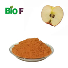 Fruit Extract Powder Organic Apple Extract For Good Grade