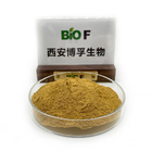 100% natural 20% 50% Hydroxytyrosol Powder cas 600-704-3 Cosmetic Grade