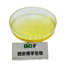 Bulk Stock Food Grade 70% Tocopherol Vitamin E From Chinese Factory Best Price