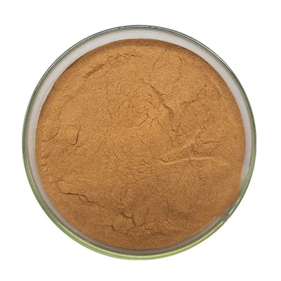 Natural Herbal Angelica Gigas Root Extract Powder Food Grade