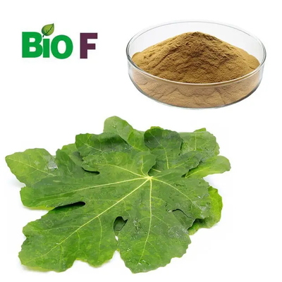 50% Flavonoids Mulberry Leaf Extract White Mulberry Leaves Extract Powder