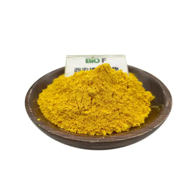 Herbal Golden Seal Root Extract Powder 97% Berberine Food Grade