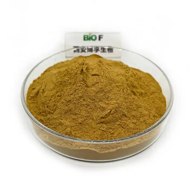 Bulk Supply Silymarin Powder 80% Milk Thistle Extract CAS 65666-07-1