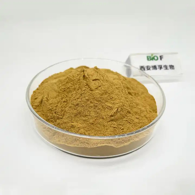 Bulk Supply Silymarin Powder 80% Milk Thistle Extract CAS 65666-07-1