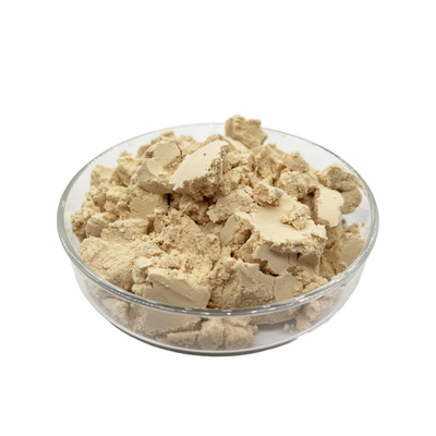 High Quality Plant Based Organic Pea Protein Isolate Powder