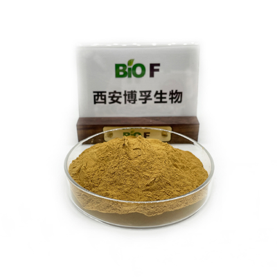 High Quality Rosemary Extract Rosmarinic Acid 35% Water Soluble Rosmarinic Acid 50%