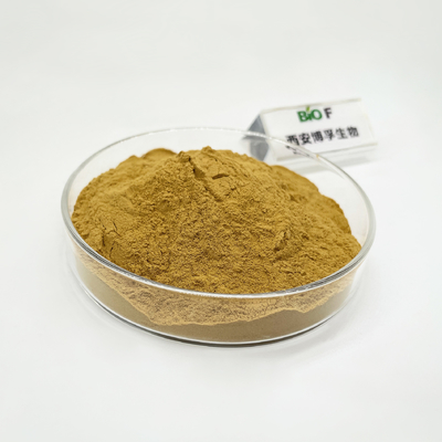 High Quality Rosemary Extract Rosmarinic Acid 35% Water Soluble Rosmarinic Acid 50%