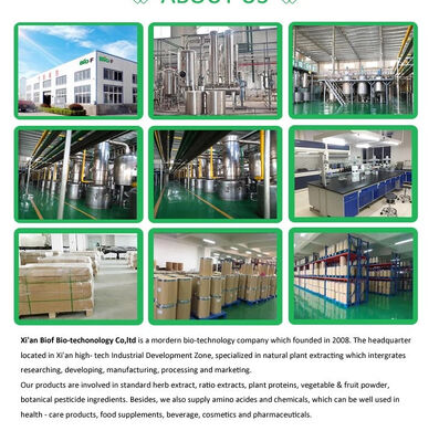 Cas No 331 39 5 Natural Nutrition Supplements Containing Green Tea Leaf Extract for Antioxidant Supplement Formulations