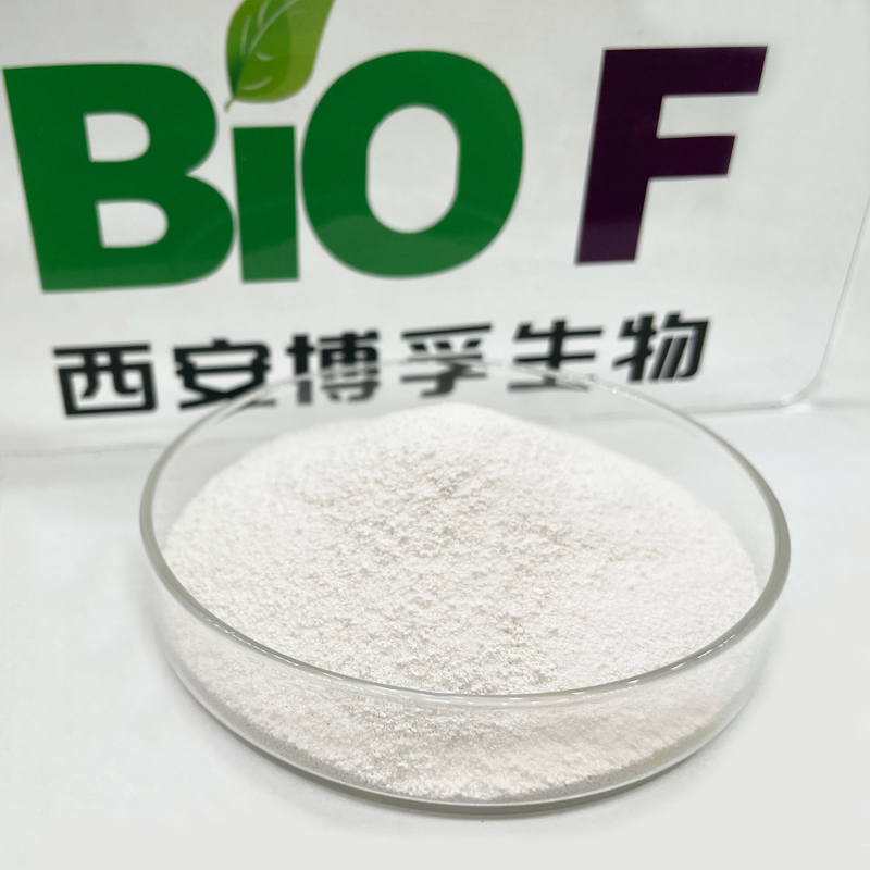 HACCP Pure Organic Bulk Food Additives Grade Sialic Acid Powder 98% Purity
