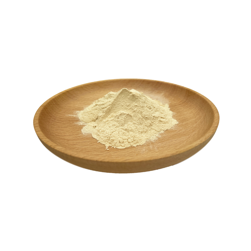 Fermented Wheat Germ Extract Powder 0.2% 0.5% 1% Spermidine Powder Food Grade