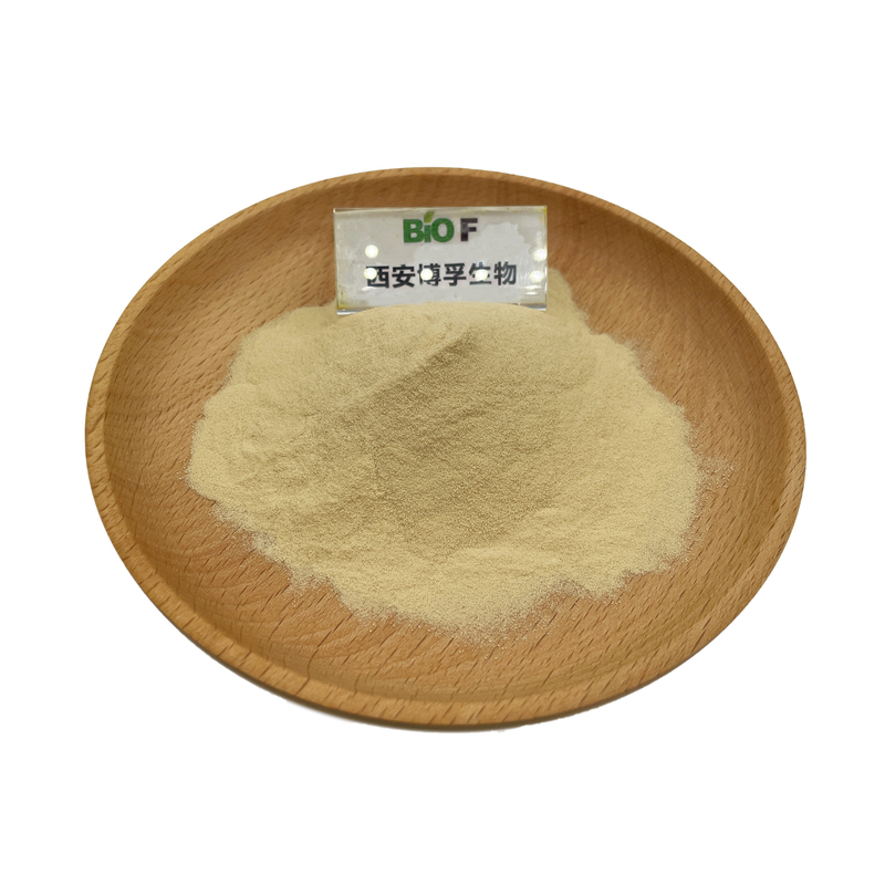 Health Food Grade Hydrogenated Soybean Phosphatidylcholine Powder 99%