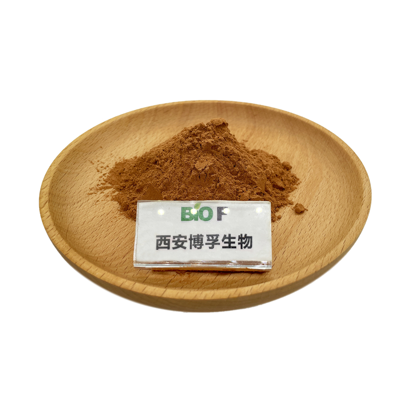 BIOF Burdock Root / Seed Extract Powder Arctiin 4:1 10:1 For Health Food