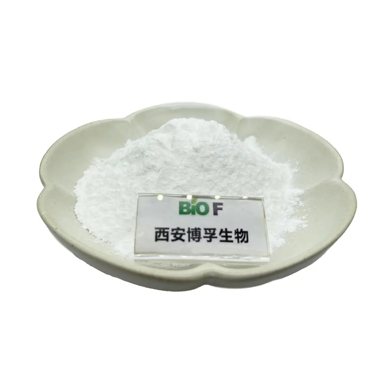 Allantoin CAS No.:97-59-6 Allantoin Powder white powder for skincare