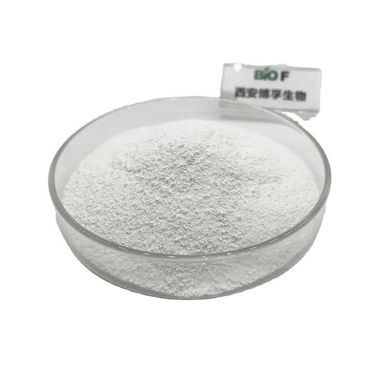 Manufacturers Supply Cosmetic Grade Aureobasidium Pullulans High Quality