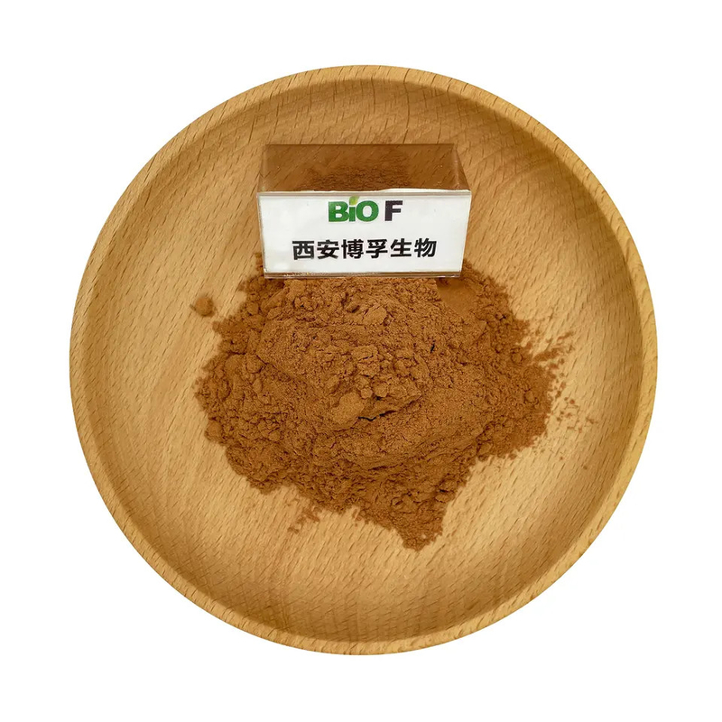 Dragon Blood Extract Sanguis Draconis Brown red Fine Powder skin care raw materials