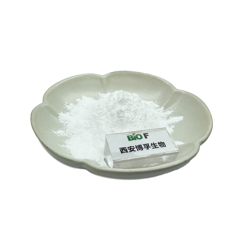 Sodium benzoate CAS No.:532-32-1 White Powder raw materials for cosmetics