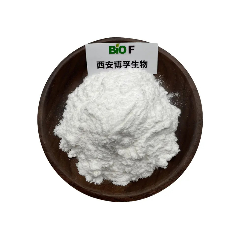 White Color Health Grade Pramiracetam Powder 99% Specification
