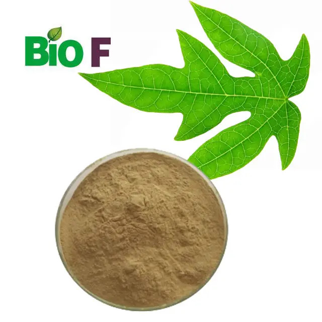 Bulk Papaya Extract Powder Organic Papaya Leaf Extract Powder