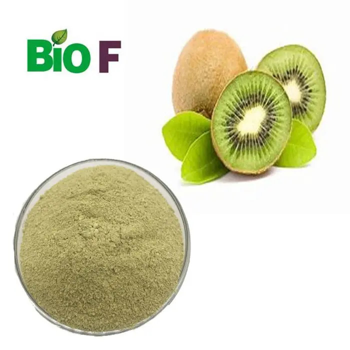 Food Grade Organic Kiwi Extract Actinidin Enzyme Powder