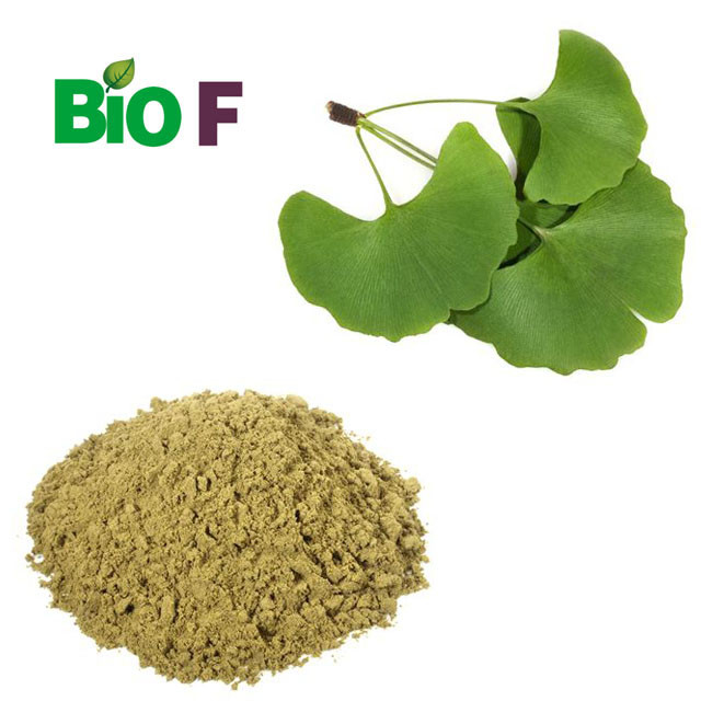 Ginkgo Biloba Extract Flavonoid Terpene Lactones Powder Healthcare Grade Yellow Brown