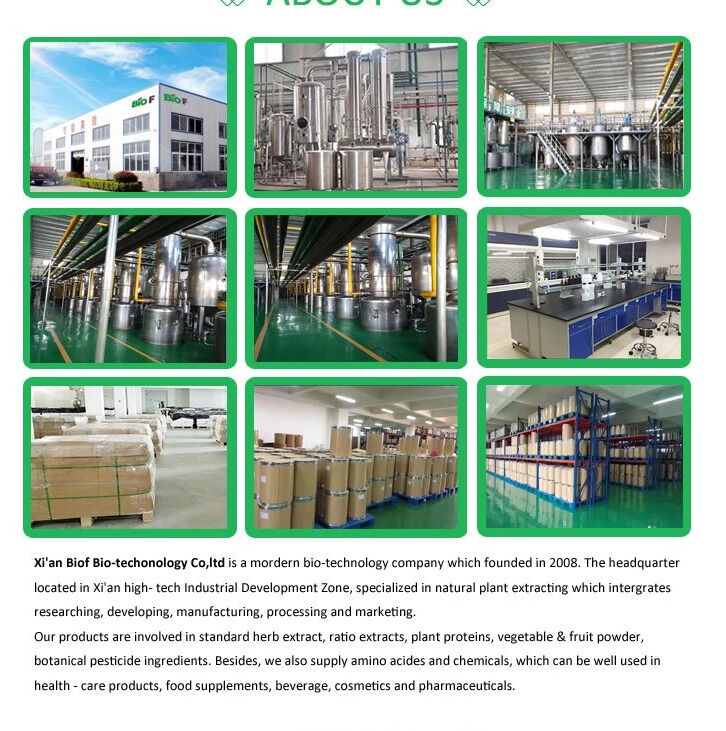 Cas No 331 39 5 Natural Nutrition Supplements Containing Green Tea Leaf Extract for Antioxidant Supplement Formulations