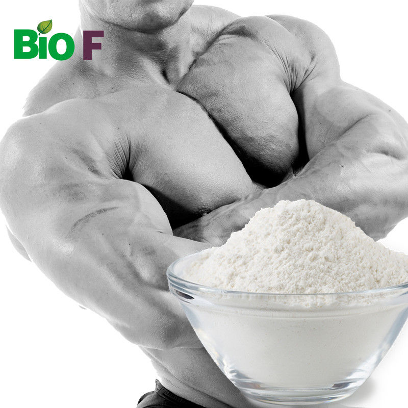 MK 2866 Muscle Growth Protein Powder CAS 1165910-22-4