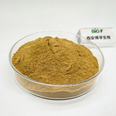 High Quality Pure Natural  CAS 97404-52-9 Rhodiola Rosea Extract Powder In Stock
